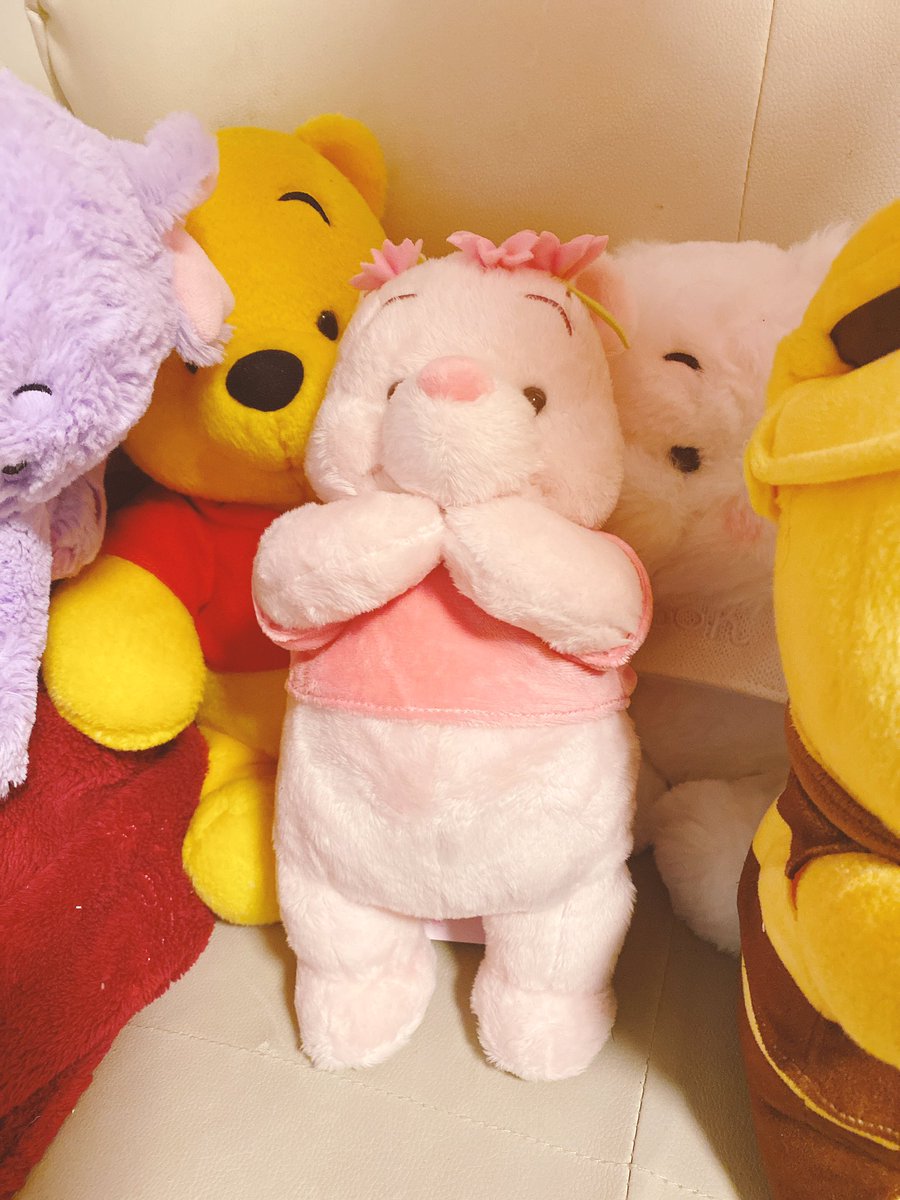 ntm_cs1127's tweet photo. さくらぷちゃお迎えしました🌸
お顔とほっぺがぷっくりしててかわいい子です🥺🥺 https://t.co/24eQ0Sb9u9