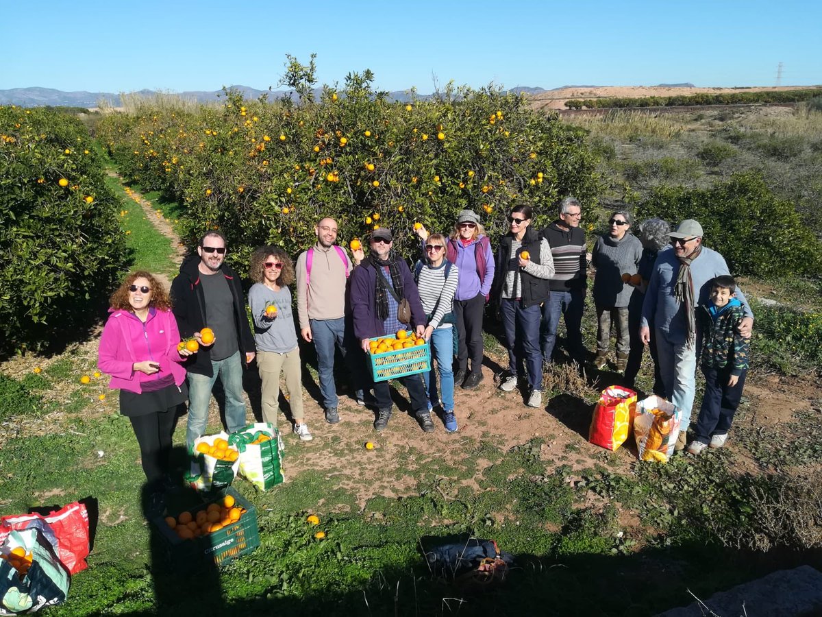 valenciaacoge1's tweet photo. 🍊 #diumengesalsol #subastasolidaria #alcamp #taronges https://t.co/ThISbJdYJd