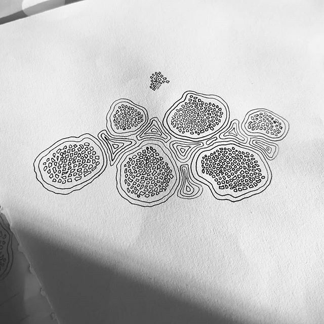 KLR_designs's tweet photo. Starting the new year with adding more creativity to my life. I love autoCAD but sometimes after a long day on the computer it's nice to use your hands to make/create things that you don't need a computer for. 
What art/craft projects are you going to wo… https://t.co/fitkiEPI0x https://t.co/pcmR8pLncR