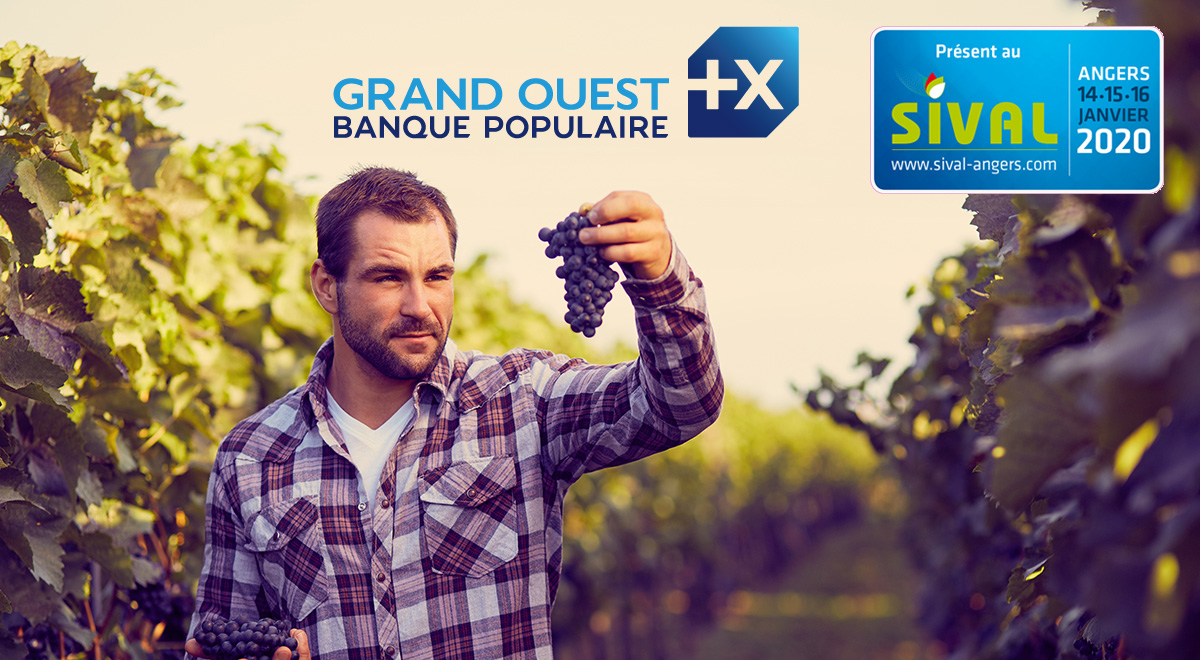 [Publitweet] 🥕#Maraicher🍇 #viticulteur 🐝 #apiculteur 
Vous envisagez de vendre en #circuitcourt ?
Vous souhaitez être accompagné pour vous développer ?
👉 venez retrouver l’équipe <a href="/bpgrandouest/">Banque Populaire Grand Ouest</a>
 Au #SIVAL20 Stand Grand Palais H-556
#teamAgriBPGO  #LaReussiteEstEnVous