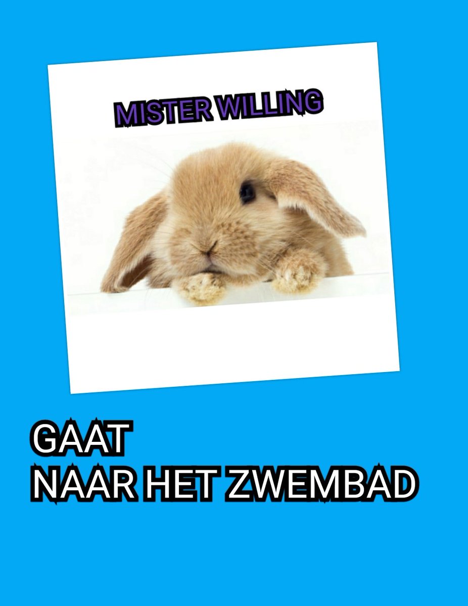 Sandra Ringoot tweet media