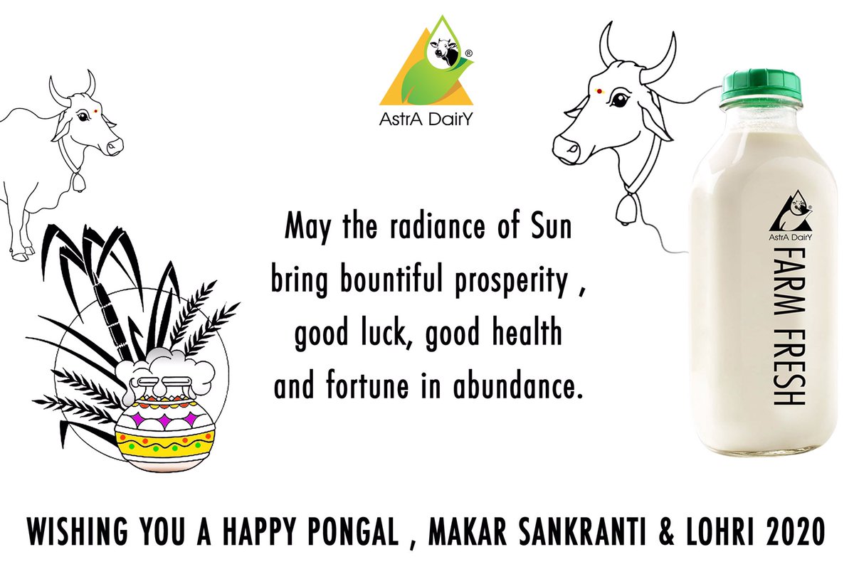 AstraDairy's tweet photo. Astradairy Wishing You a Happy Pongal, Makar Sankranti &amp; Lohri 2020

#astradairy #milk_in_chennai #organic_milk #a2_milk https://t.co/LItr1r2KQt