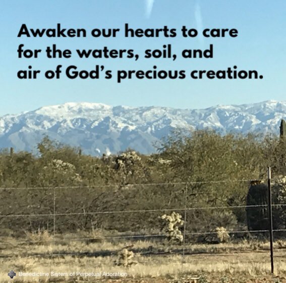 bspavocation's tweet photo. Our Sisters prayer intention during our communal adoration today: #prayforcreation #bspa #pray https://t.co/VUKQULqIkF