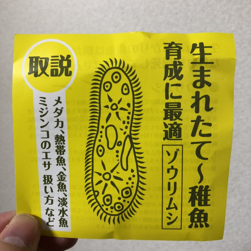 クロトワ メダカ ゾウリムシ着弾 クロレラ Psb ミジンコと気になる微生物は一通り手に入れた あとはそれぞれ培養させて メダカの餌の無限増殖バグをつくるだけ ʖ クロトワ メダカ ゾウリムシ着弾 クロレラ Psb ミジンコと気になる微生物は一通り手に入れた あとはそれぞれ培養させて メダカの餌の無限増殖バグをつくるだけ ʖ