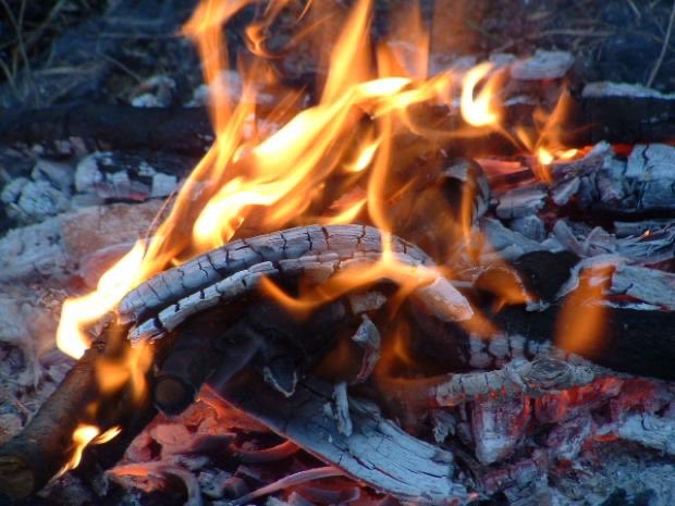 treecontrol8's tweet image. We have a quantity of ‘just felled’ Alder for sale!
Needs to be ‘seasoned’ and is being sold in ‘rounds’, -so you will need to split.
We are not selling/quantifying it by weight, but it is approximately a full tipper load. 
(Available for delivery in Cardiff only sorry.)

£125.00