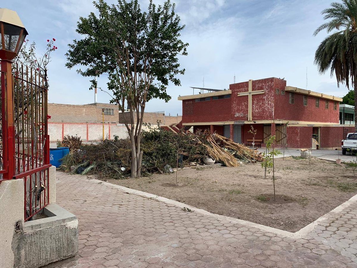 _TORRESBERNAL's tweet photo. @DGMATRC @MunicipioTRC @JZERMENOI @serlaga les apuesto que la sanción al Padre Ignacio Mendoza Wong por haberse echado 5 palmeras y 10 arboles frutales va a ser todo MENOS ejemplar.
No hay manera de resarcir este daño. #Verguenza #Torreón #MalEjemplo https://t.co/Zv6EJwIurs