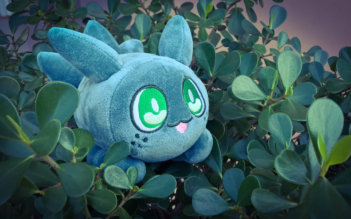 Riifuneko's tweet photo. New Slugku plush ❤️

Warning! This squishy friend is very soft!

Ready to be adopt on 22th January 2020 https://t.co/MRRK5TOg6w