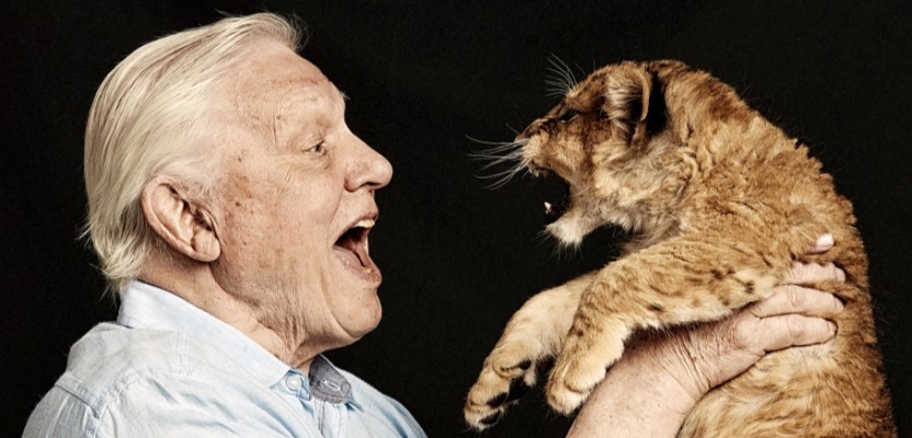 Creativepool's tweet image. Getting to Know: Mark Harrison - The man who shot Prince Andrew

#MarkHarrisonPhotography #gettingtoknow #interview #Creativepoolannual #libertychoir #PrinceAndrew