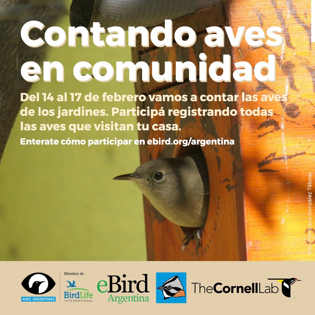 franalverja's tweet photo. Muchos amigos y amigas de por acá gustan de la jardinería y la naturaleza y sienten curiosidad por las aves pero no saben por dónde arrancar. En @AvesArgentinas lanzamos esta idea sencilla y fácil para empezar: identificar y contar las aves de jardines, terrazas y balcones. https://t.co/Ic6pCNAlA8