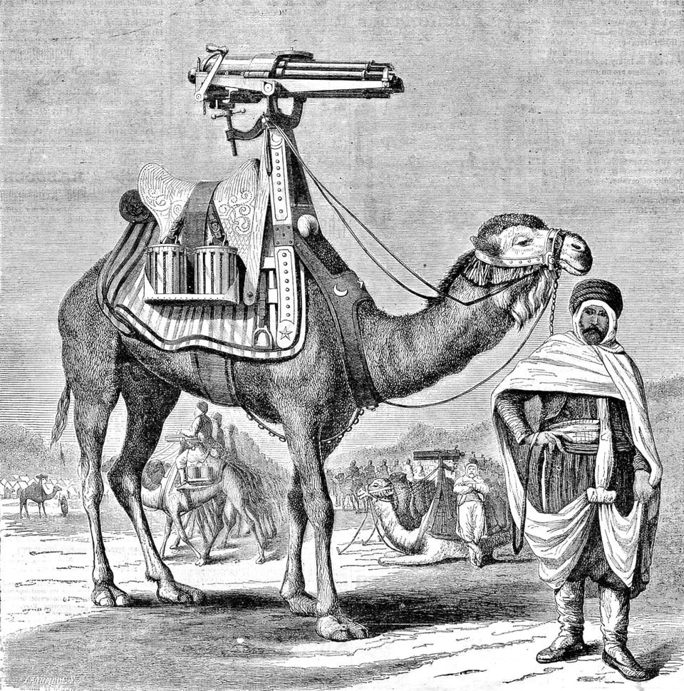 [分享] 印度閱兵出現迷彩機動駱駝迫擊炮