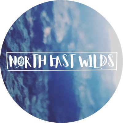 northeastwilds's tweet photo. #NewProfilePic https://t.co/2t52jSLDYJ