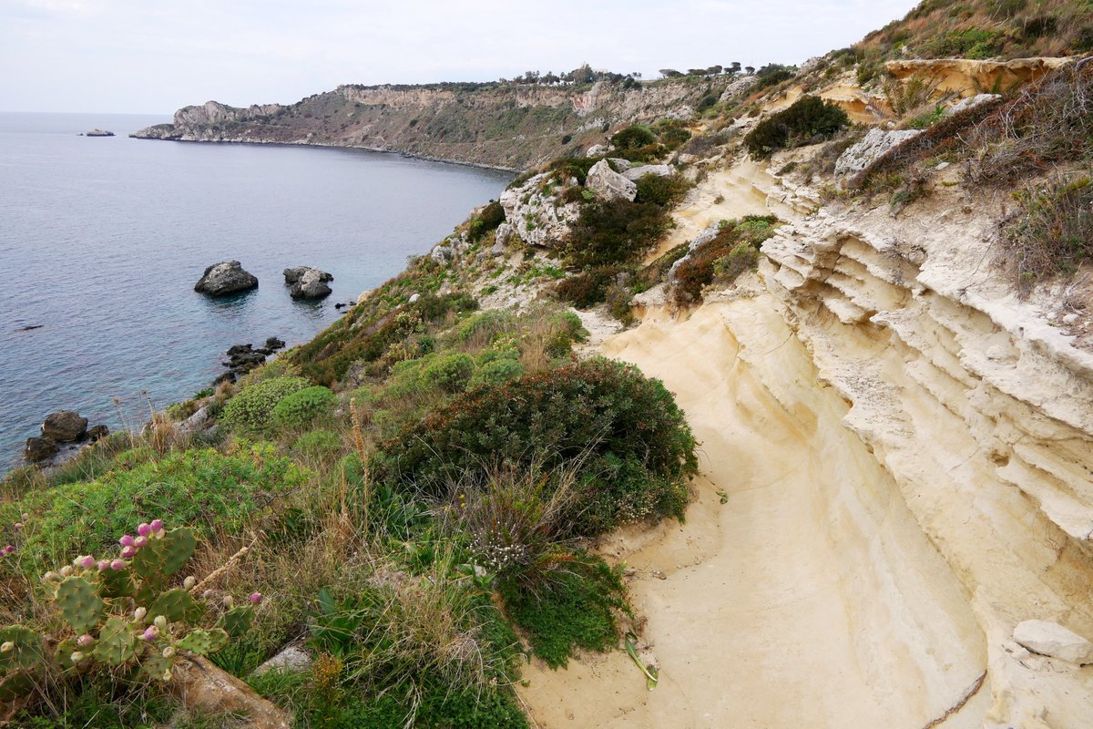 #Sicily#nature#discovery#fossil#picture#carfulco#capomilazzo  NE Sicily - Capo Milazzo  - 01.12.2020