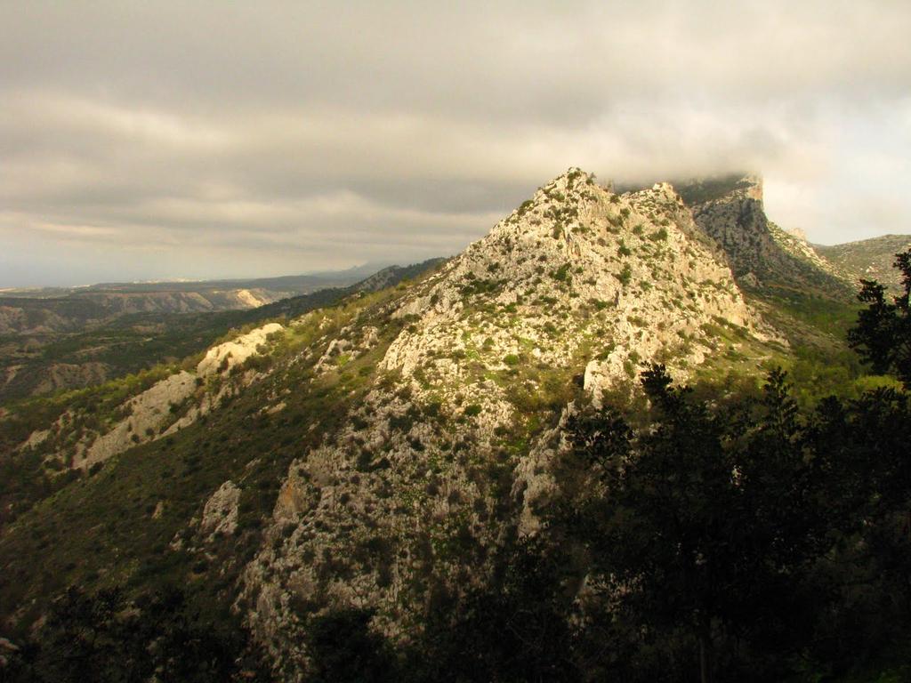 EditCyprusCom's tweet photo. More fresh air
#cyprus #northcyprus #nature #mountain #travelphotography #wander #wanderlust #travelphotos #holiday #trip #chypre #chipre #tour #zypern #traveling #travel #vacation #journey #travelblogger #traveller #travelling #Кипр #Кіпр #путешествовать #подорожі #reizen #Reise https://t.co/coBDdMJVgO