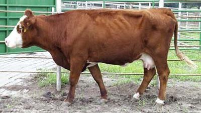 Mary Drewnoski tweet media