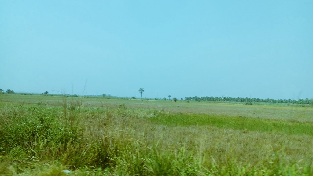 diamondsuma's tweet photo. Rice again?
If I was the Minister of MAFFS #Sierraleone , I will push for a law on free port for all Agricultural commodities as a way to address food sufficiency in SL.
We want to farm but the equipments are expensive.
#thinksalone
#Innovative leadership https://t.co/B8HhpSqD0u
