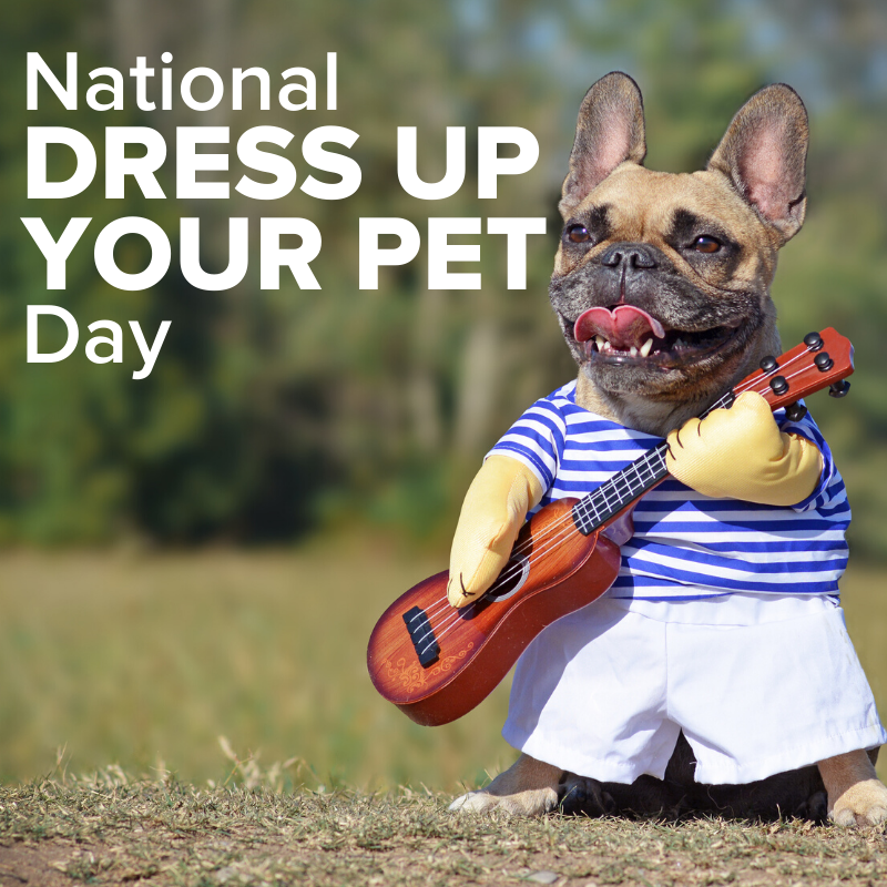 Today is National Dress Up Your Pet Day! Share with us your cutest