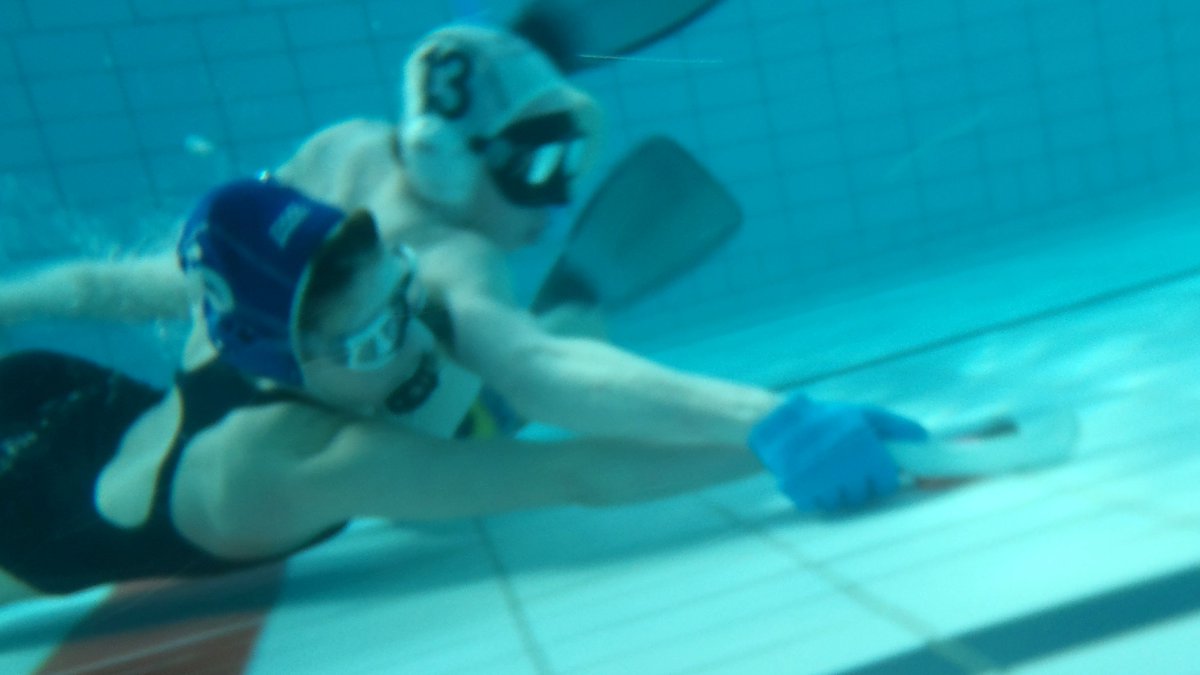 Fun for all swimmers.  :)