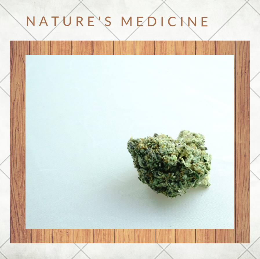 BackSideBuds's tweet photo. “Cannabis is the only anti-nausea medicine that increases appetite.”

Dr. Donald Abrams, chief of hematology-oncology at San Francisco General Hospital

Sometimes it’s the most basic thing to get your through tough times. 

#medicine #cannabiscanada #fuckcancer #medicalcannabis https://t.co/f5APd5WJln