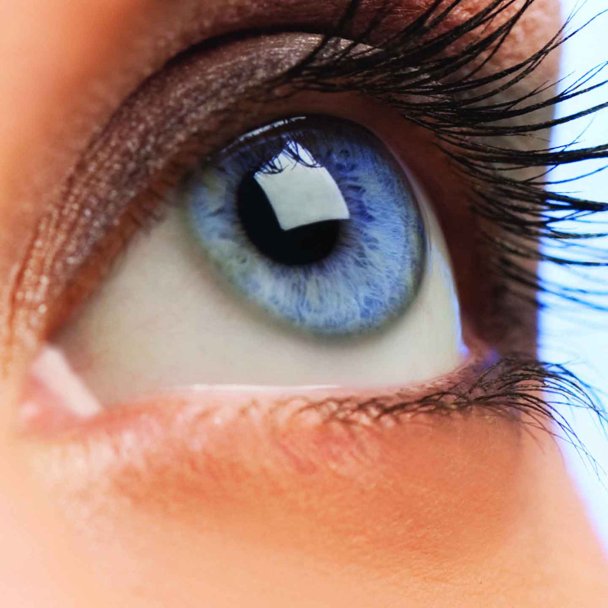 MacularSociety's tweet photo. Are you a relative, partner, friend or carer of someone with a visual impairment? Researchers @CityUniLondon would like to hear from you. https://t.co/WokjzjddLZ https://t.co/po3UfC1xfv