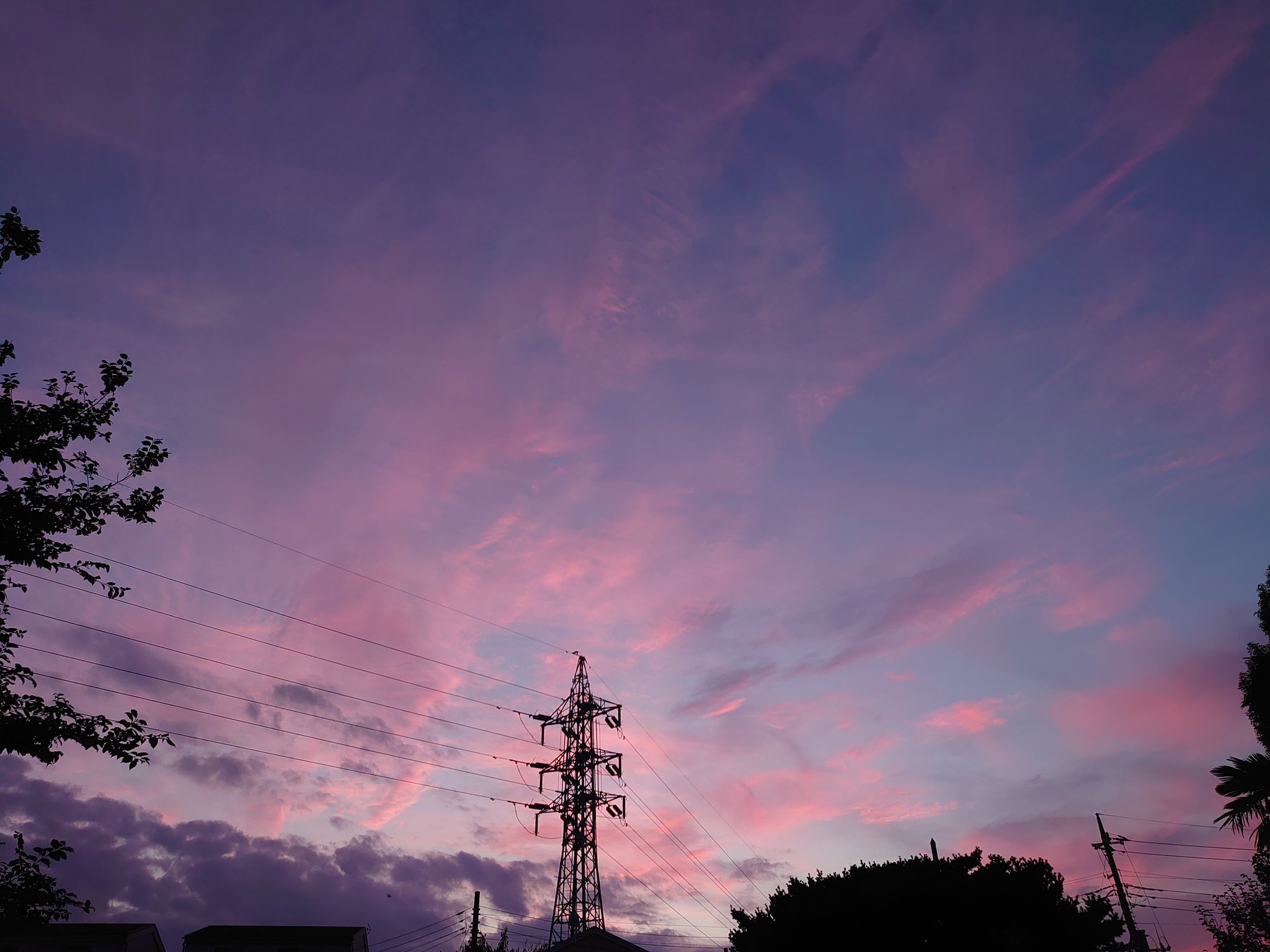 紫色の空 Twitter Search Twitter