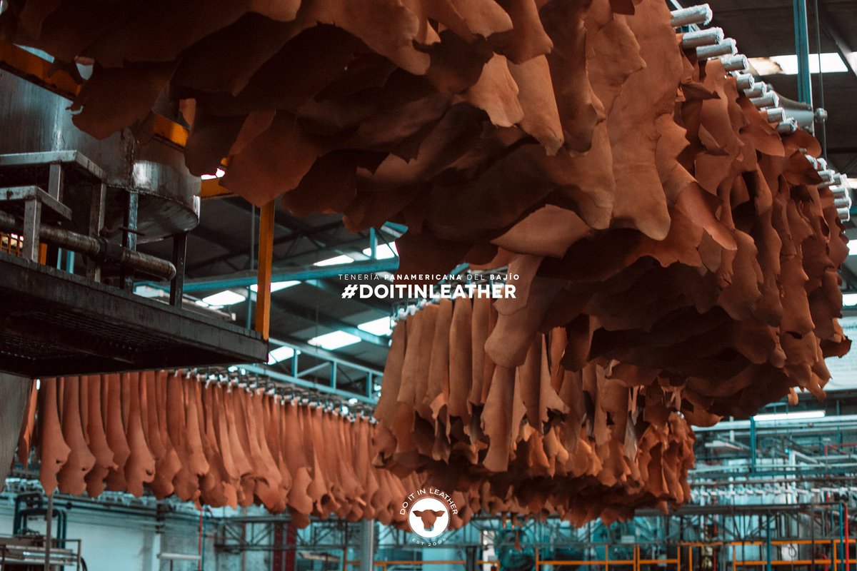 TePanamericana's tweet photo. High Quality Process ⚙️
#DOITINLEATHER
#TENERIAPANAMERICANA #LEATHERFROMMEXICOTOTHEWORLD #LEATHER #TANNERY https://t.co/xxasmoNOYw