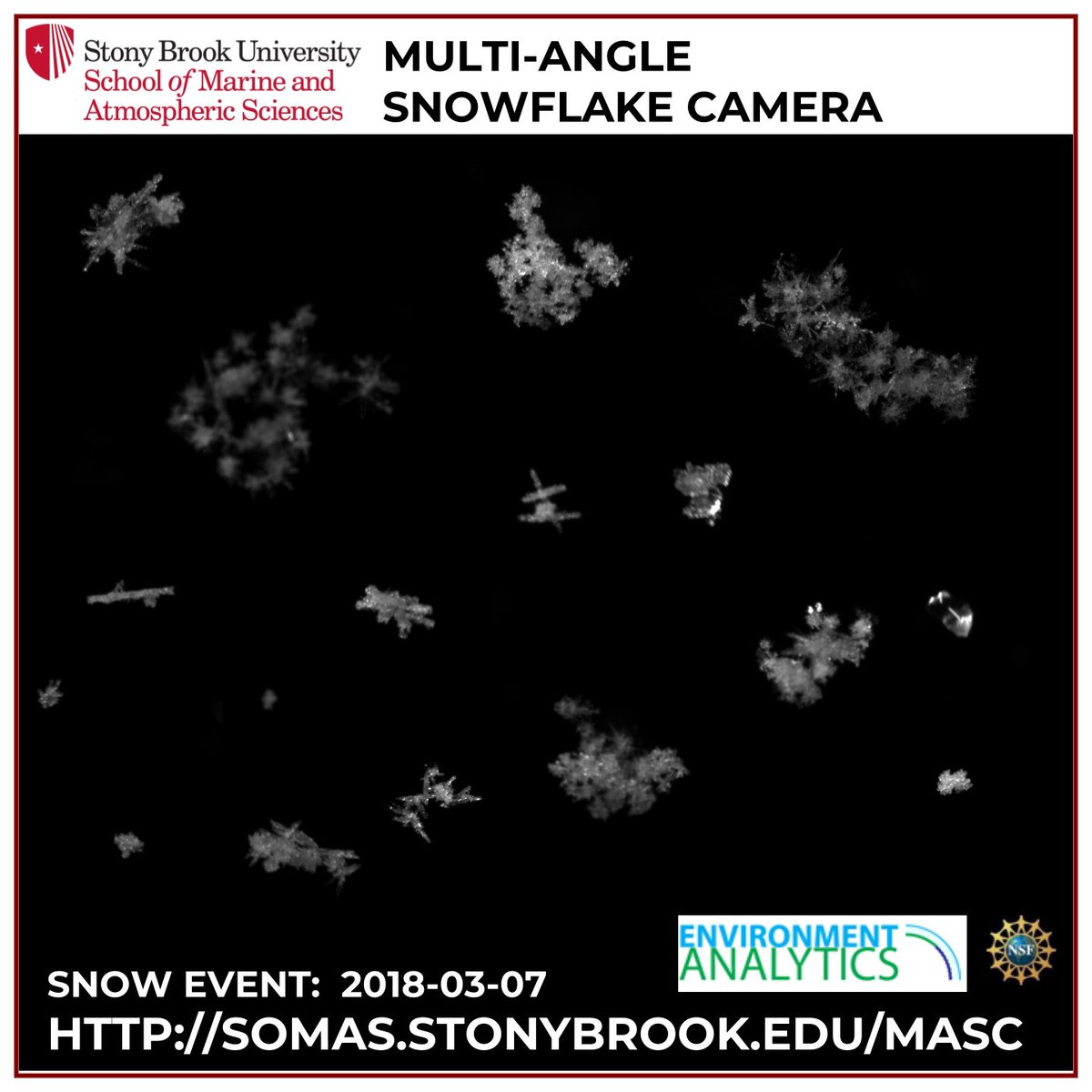 Microscopic image of snowflakes on a black background