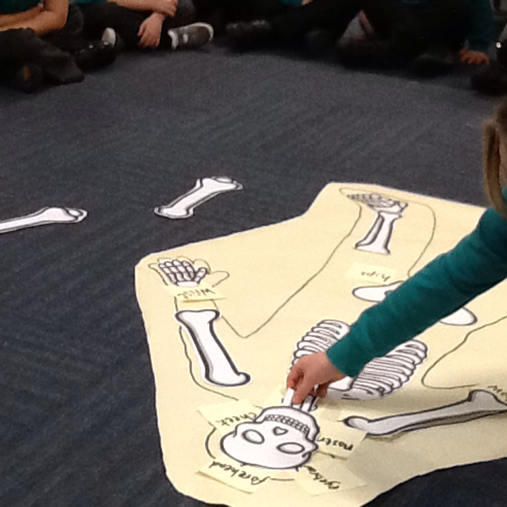 EndikeYear1's tweet photo. Today we gave Max some bones, if you ask us we will tell you some of their names. @EndikePrimary #endikescience https://t.co/aqXGCr0nk6