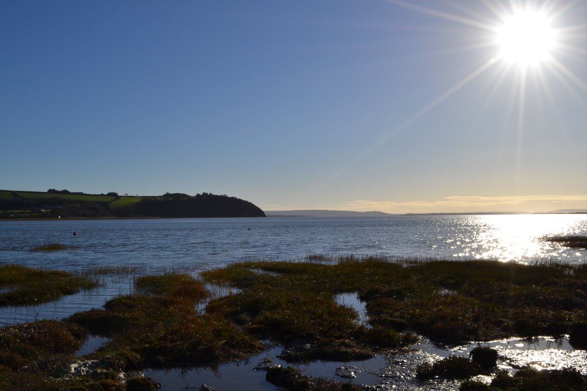 coastwellbeing's tweet photo. Calling all #naturelovers and marsh enthusiasts. We are celebrating the end of our @ValuingN funded project which integrates #art and #science with two exciting art exhibitions in #London and #Cardiff. We'd love to see you there... https://t.co/xcIfWIC08f