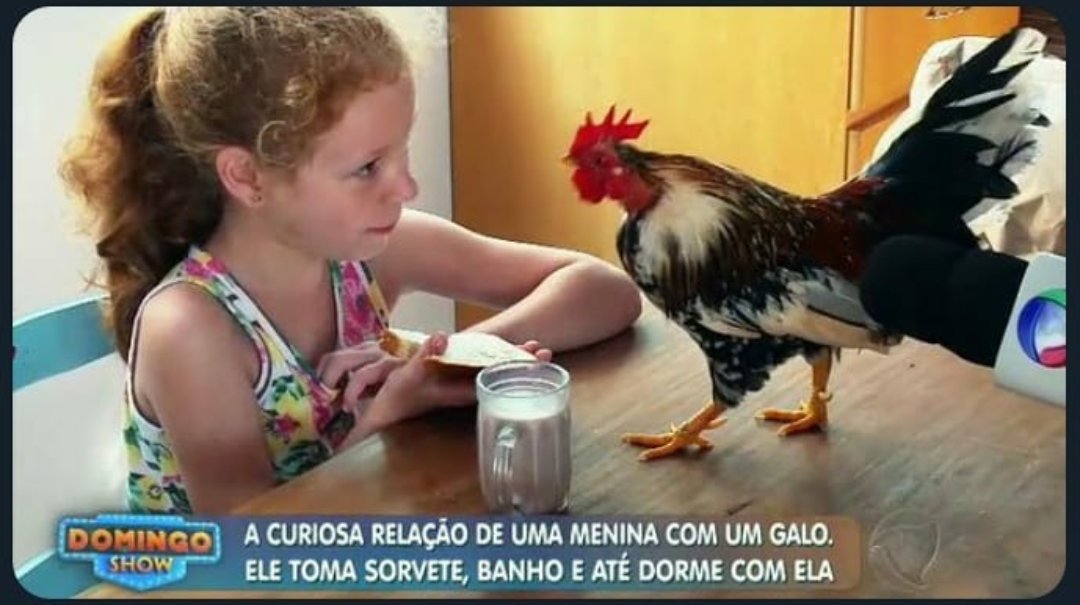 biCAMpeã 🌟🌟 tweet media