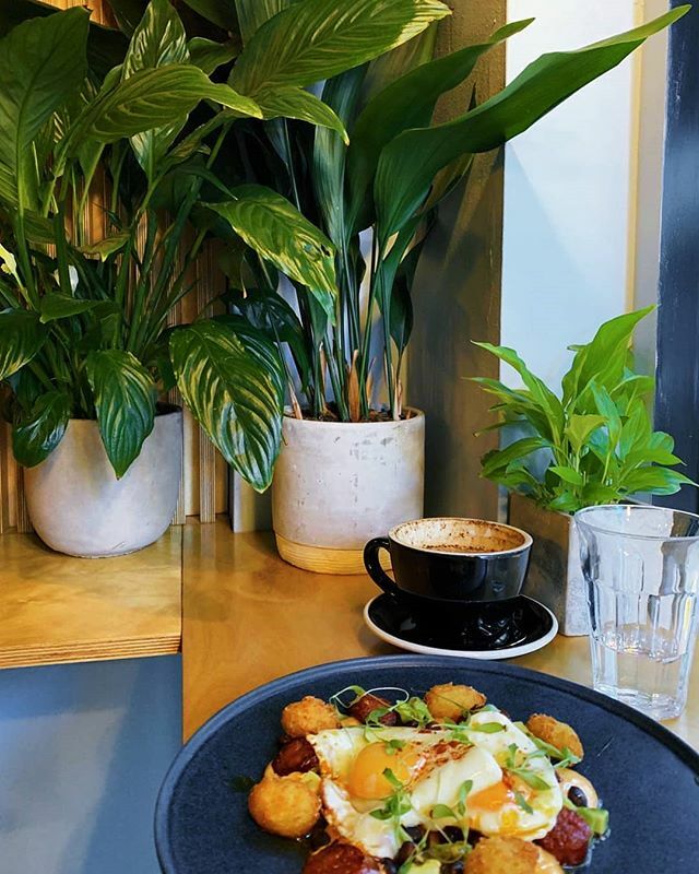 Thank you <a href="/lemon/">Lemon</a>.and.lime.jsy for this gorgeous photo and the love 🥰
.
Back to normal this Saturday. Can't wait to see you all! 🖤
.
.
.
.
.
#plantsofinstagram #saturday #brunch #dirtyeggs #dandycoffeeshopjersey #thoroughlygoodcoffee