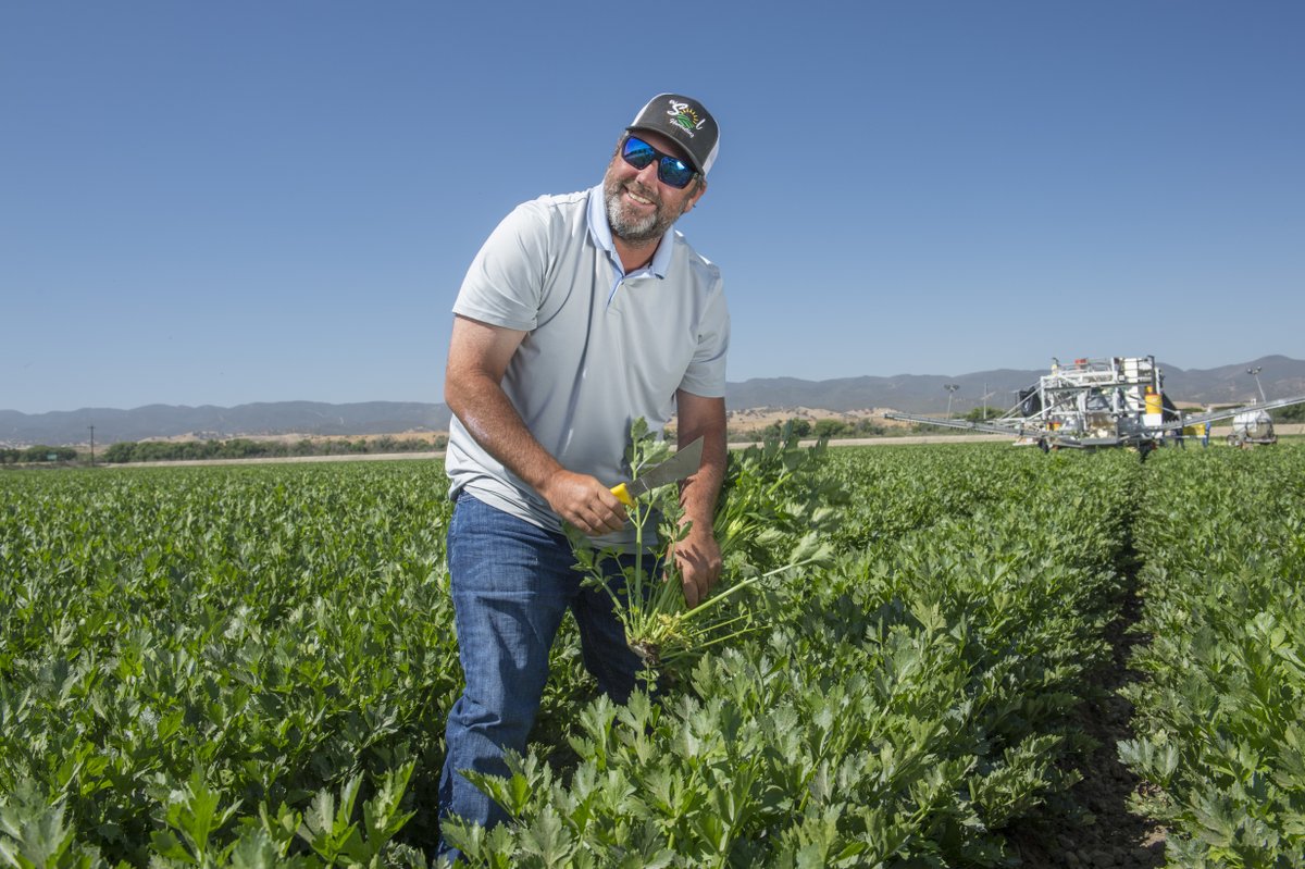 earthboundfarm's tweet photo. Say 👋 to Earthbound farmer Alex Romans and his gorgeous field of #organic celery. Nurturing the soil and the ecosystem it thrives in is his number one focus. And now that celery's having a moment, we're sure glad to have Alex on our side. 

#EarthboundFarm #FoodToLiveBy https://t.co/bmHPFFo2RO