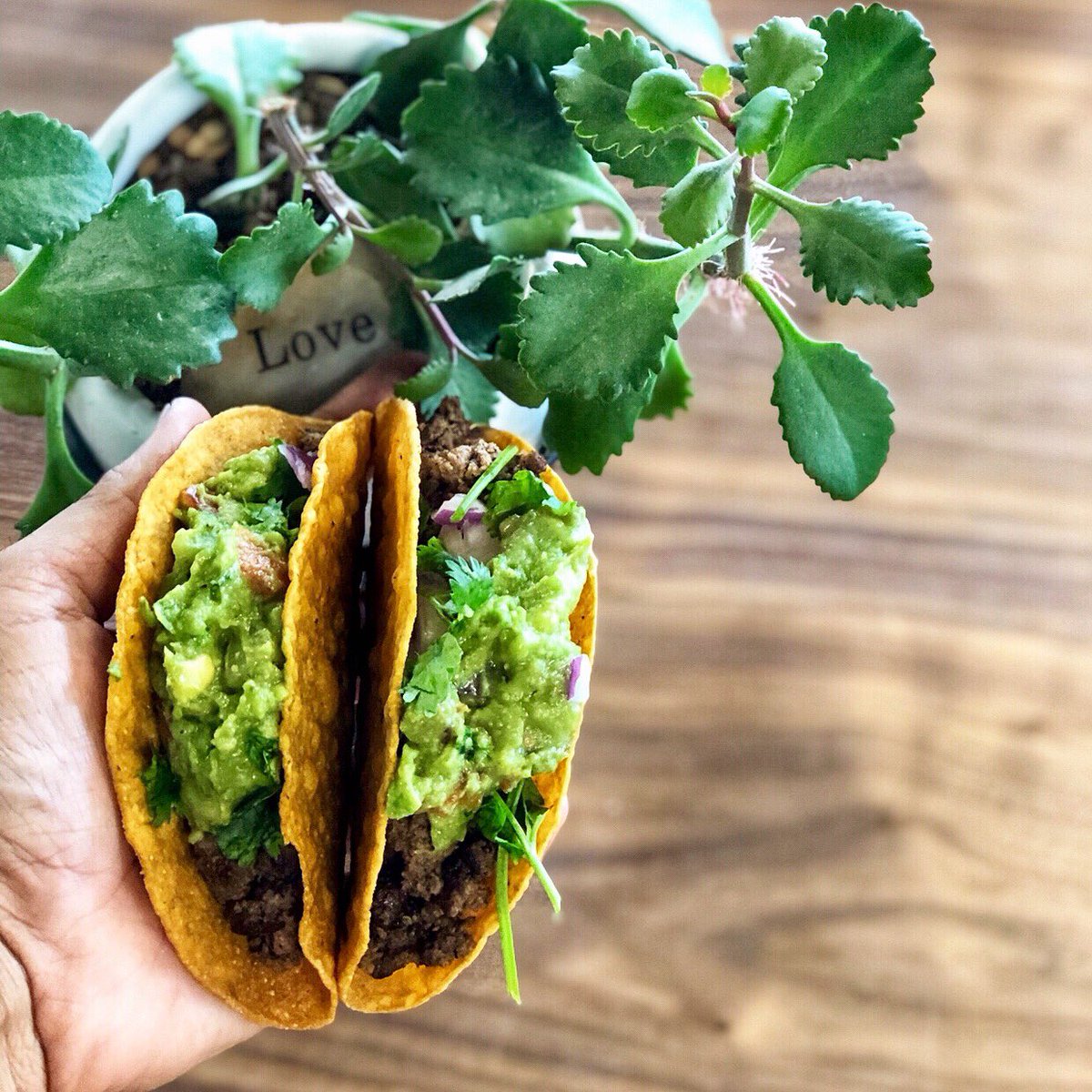 SublimeTacosGNV's tweet photo. We LOVE #TacoTuesday 💚
.
🚛 Our food truck will be @Swamphead tonight {5PM}
.
🏠 317 SW 4th Ave
Mon-Sat 11AM-9PM
.
.
.
#SublimeTacos #Gainesville #DowntownGainesville #4thAveFoodPark #Tacos #CraftBeers #Swamphead https://t.co/v6t8UHWqjK