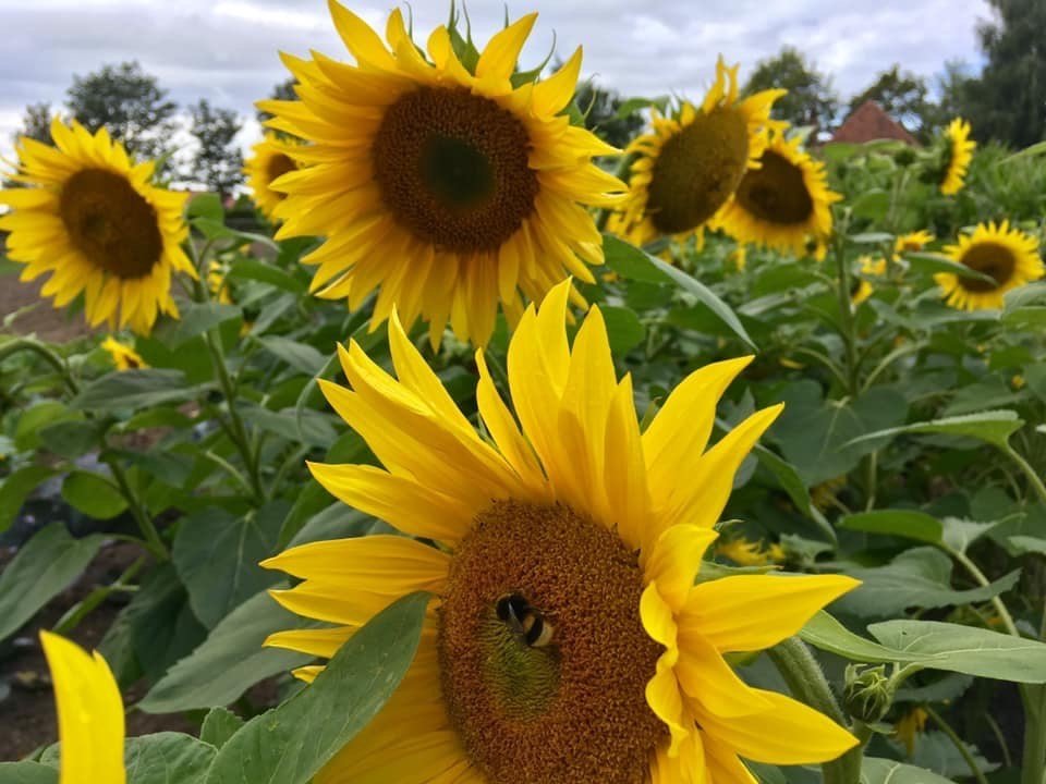 Dr Christopher Barnes Drchrisbarnes Twitter