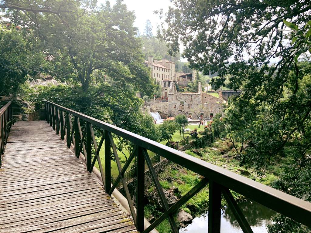 torredorio's tweet photo. No hay nada como darse un paseo por Torre do Río para darse cuenta de lo grande y frondosa que es nuestra finca.

#TorredoRío #HotelRural #Hotelconencanto #CaldasdeReis #CaminodeSantiago #Xacobeo2021 https://t.co/hkAGFGfH4w