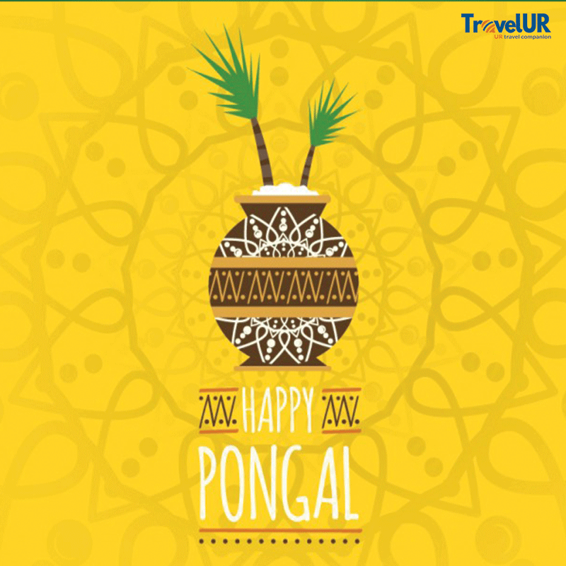 HelloTravelUR's tweet photo. Wish you and your family a Happy Makar Sankranti. May this year be full of new beginnings and prosperity. https://t.co/7P5RVCK2lO