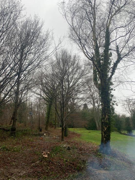 c_holty's tweet photo. Bit of tree management today down on the 4th hole here at Holtye G.C soaked to bone can’t wait for a bath 🛁 great work lads 👍 https://t.co/amKn3WgEYO