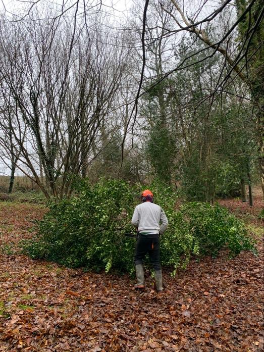 c_holty's tweet photo. Bit of tree management today down on the 4th hole here at Holtye G.C soaked to bone can’t wait for a bath 🛁 great work lads 👍 https://t.co/amKn3WgEYO