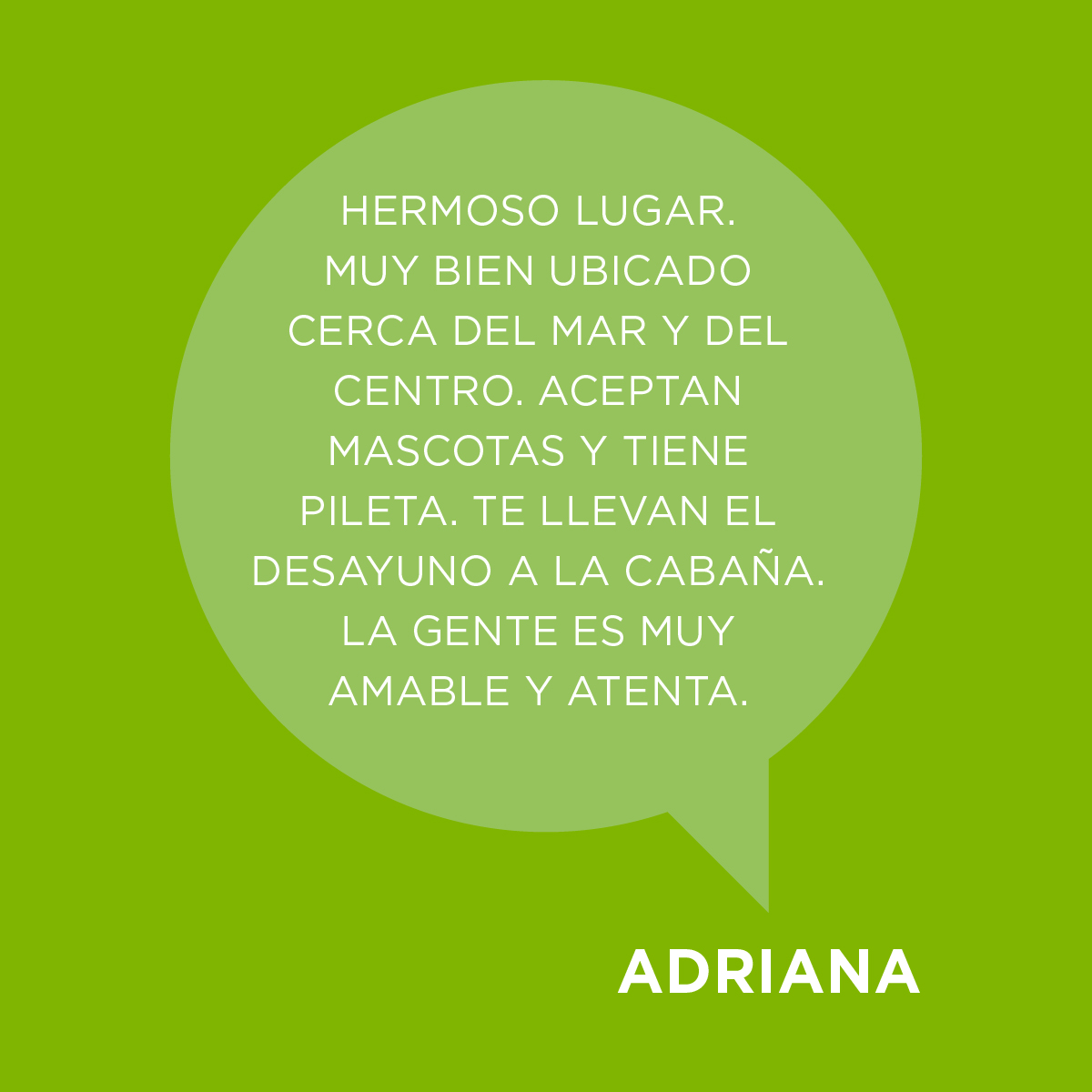 CariloPosada's tweet photo. Le agradecemos a todos los huéspedes que nos acompañan y se tomaron un ratito para dejarnos su comentario y así podamos mejorar🤗 ¡Dejanos tu comentario!🎉💗
.
.
.
.
 🌐 https://t.co/06EQIgiIau
📩 reservas@posadadelbosque.com.ar
📱011 53655433
WhatsApp al 011 4087 9637 https://t.co/frVqea9Xw1