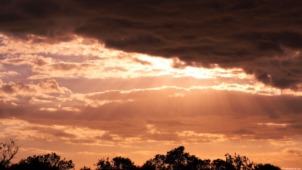 HDrelaxation for you (@hdrelaxation4u) on Twitter photo One afternoon in #Florida. Enjoy all! :) #photooftheday #nature #photography #sky #clouds #sunshine. <a href="/mrtom101/">Tommy</a> <a href="/2_simplify/">Mai</a> <a href="/soniacolpo/">Sonia Colpo</a> <a href="/anie1215/">💕 anie 💕 my son is my life 💕</a> One afternoon in #Florida. Enjoy all! :) #photooftheday #nature #photography #sky #clouds #sunshine. <a href="/mrtom101/">Tommy</a> <a href="/2_simplify/">Mai</a> <a href="/soniacolpo/">Sonia Colpo</a> <a href="/anie1215/">💕 anie 💕 my son is my life 💕</a>