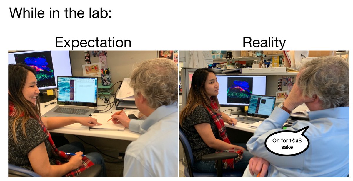 pscottlab's tweet photo. Legit.
#hiddenpic #spontaneous #fridayresults #goldenstar #scottlab https://t.co/1VTEgtT78d
