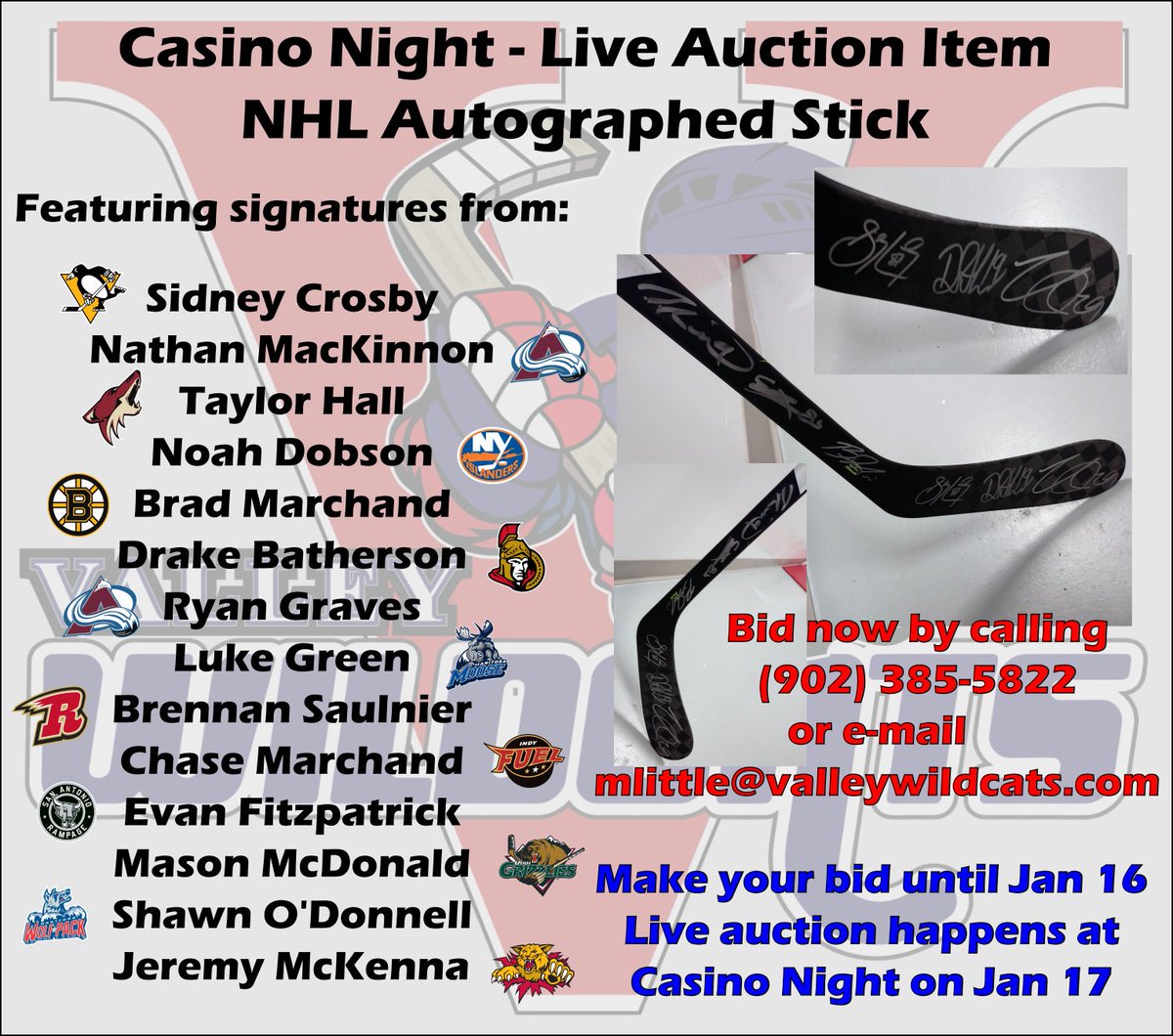 Bage Valley Wildcats tweet media