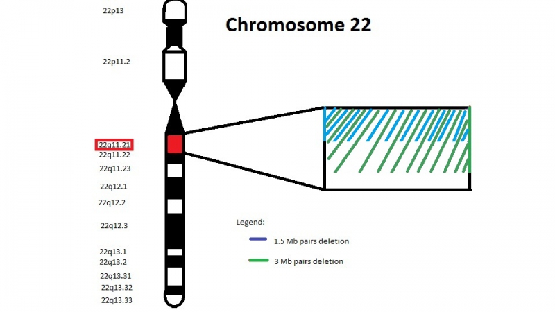 Сократите дробь a2+3a/9-a2. (p^2/q^-3)^-2. (6а3+3а2):а2 выполните деление решебник. Хромосома q12. Пиропатрон q12a.