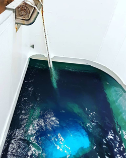 argosfroyanes's tweet image. Ice in our #MOONPOOL – before and after photos  #NORDICPRINCE #ANTARCTICFISHING #ANTARCTICA #ROSSSEA