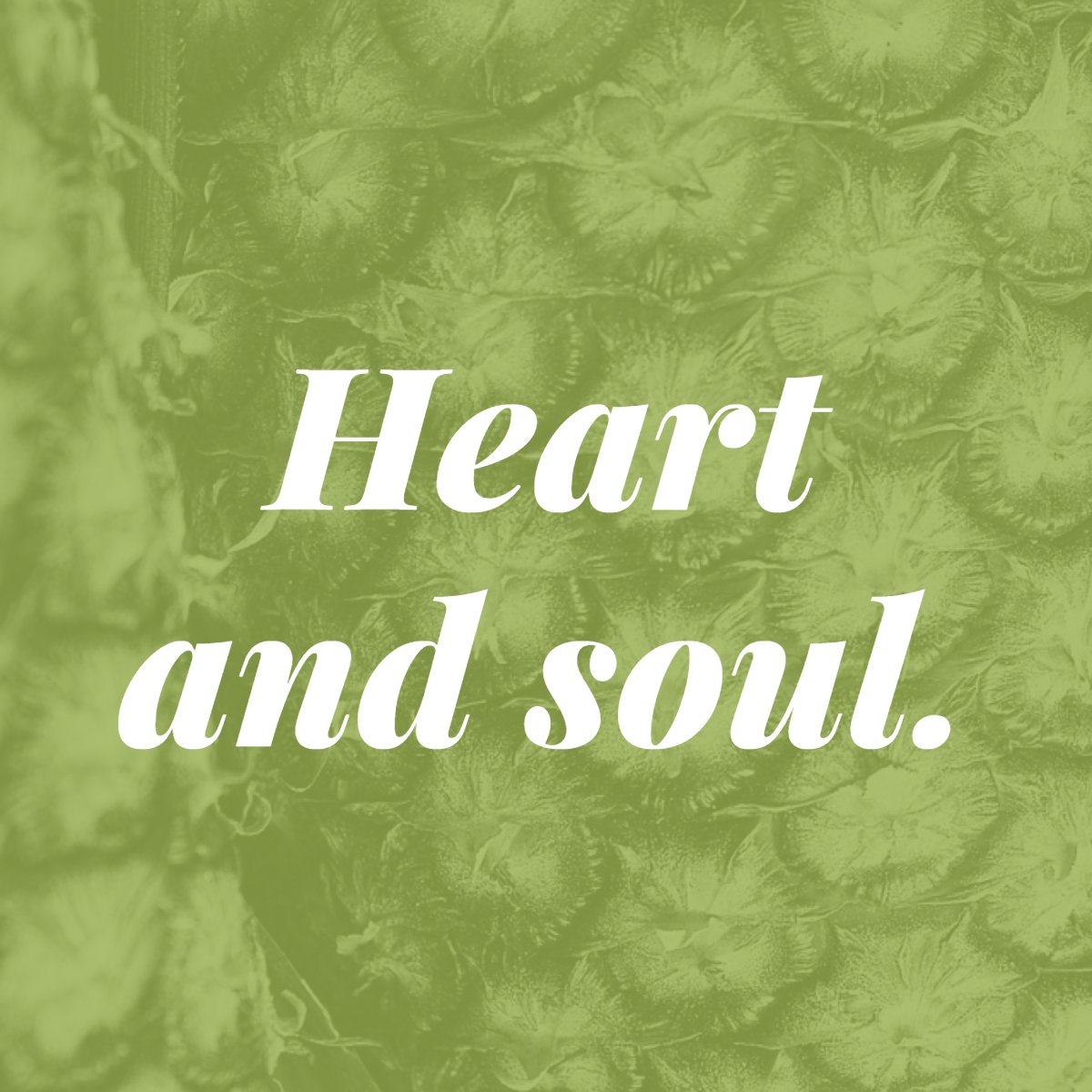 14 Parish tweet media