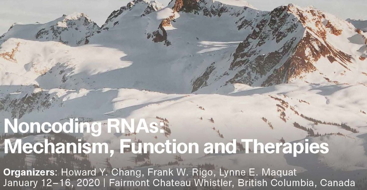 accent_tx's tweet image. If this week finds you in Whistler at the @KeystoneSymp on #noncodingRNA (co-organized by @HowardYChang) rather than at #JPM2020, be sure to catch our VP of Biology&apos;s talk on #ADAR1, one of our lead #drugdiscovery programs, on Thursday! #RNA #RMPs #KSncRNA