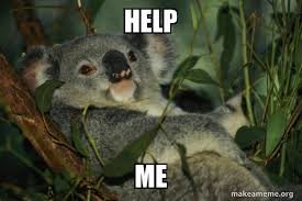 NashwaMekky's tweet image. This Friday, we are changing our name to the Caruso Koalas for the day in support of the wildlife of Australia. Wear grey and consider making a donation to the wildlife fund. #carusocares #engage109 #formerbluejaysnowkoalas #CarusoWay