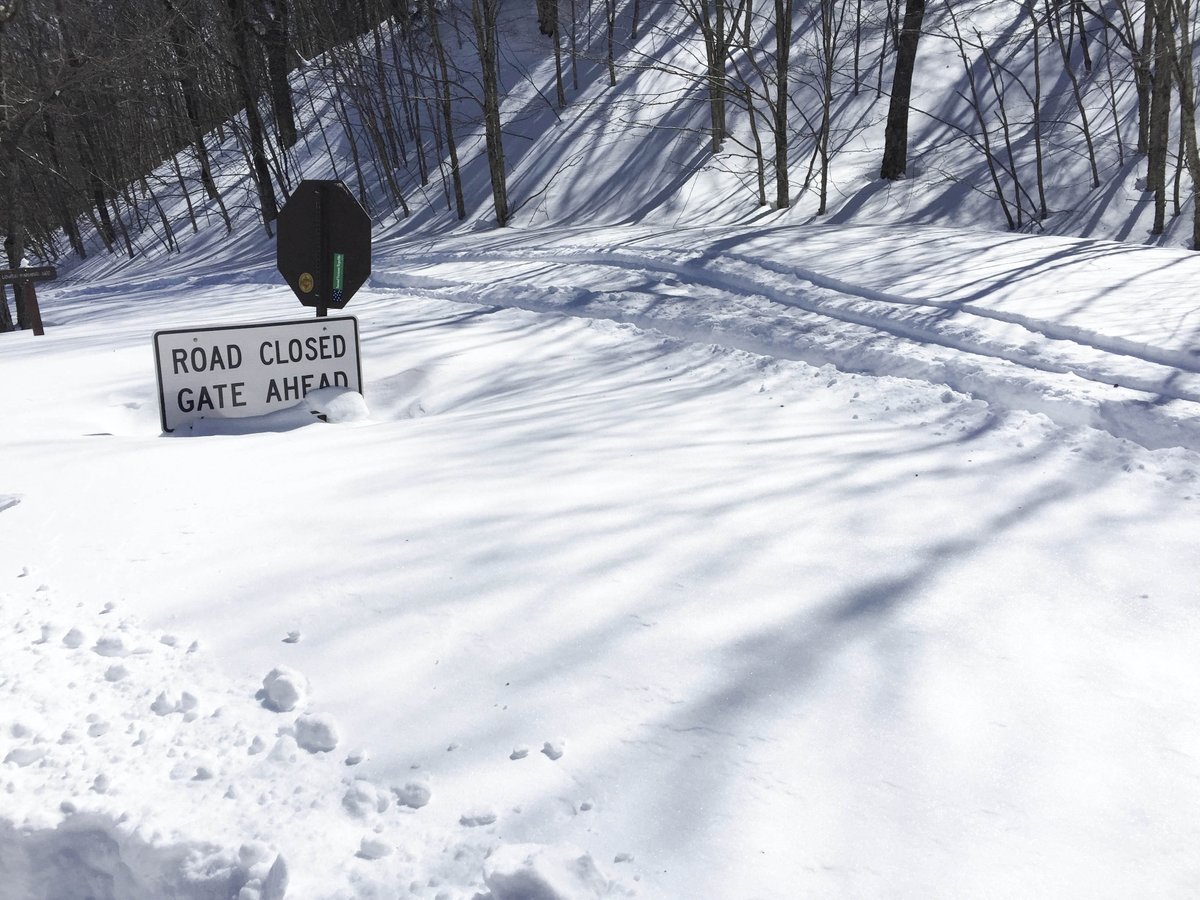 MRV_Guide's tweet image. This picture of the top of Lincoln Gap Road does not reflect current conditions around the MRV, but go ahead, dream a little. It can only help!
#madrivervalley
#sugarbush
#madriverglen
#mrvbc