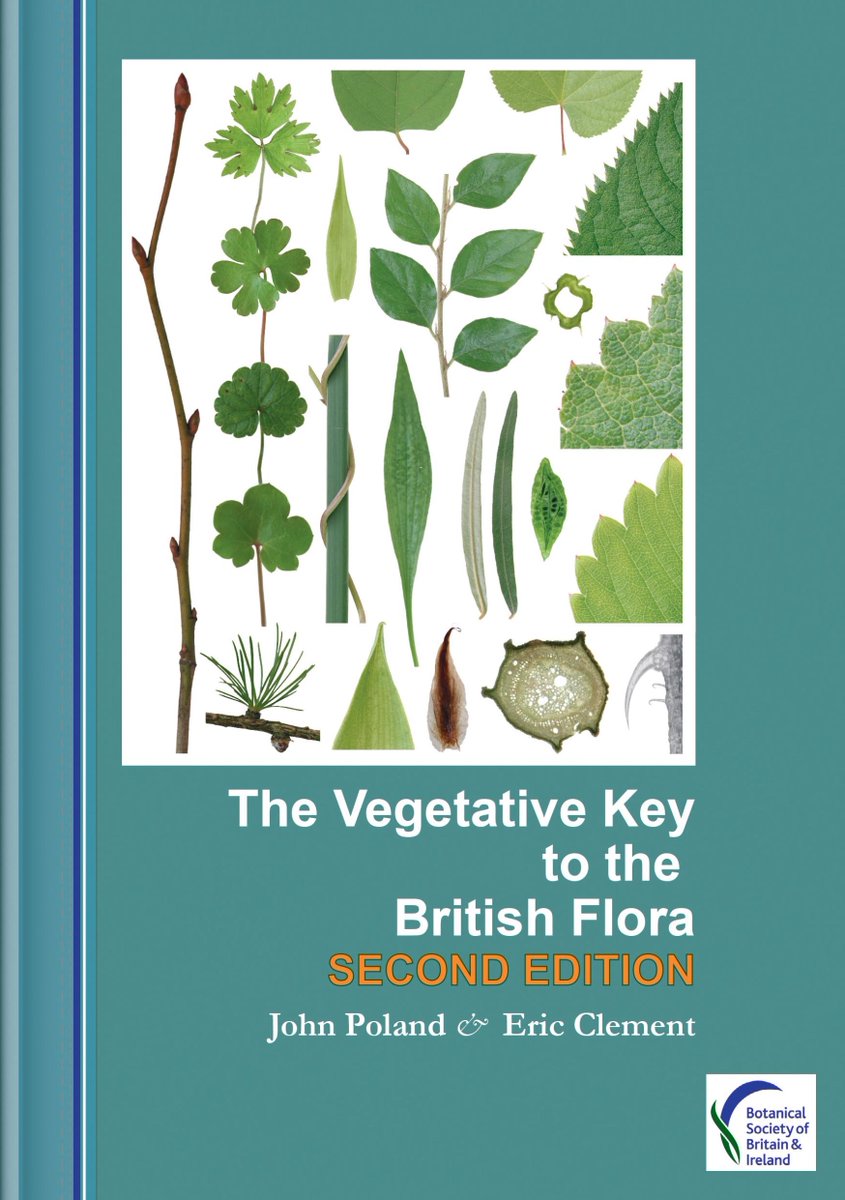 BSBI: Botanical Society of Britain & Ireland tweet media