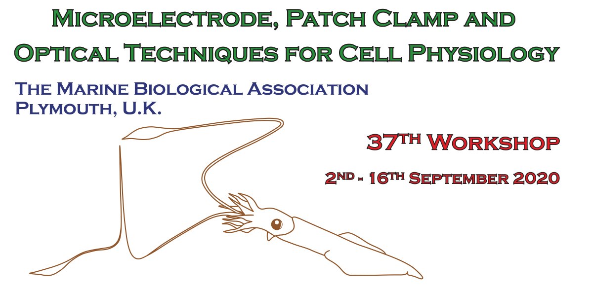 2020 Workshop poster