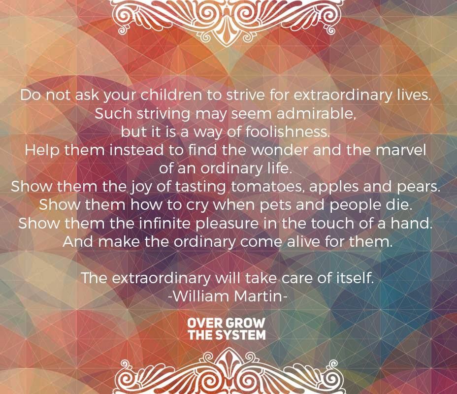 “Do not ask your children
to strive for extraordinary lives.
[...]
make the ordinary come alive for them.
The extraordinary will take care of itself.”

- The Parent's Tao Te Ching: Ancient Advice for Modern Parents by William Martin